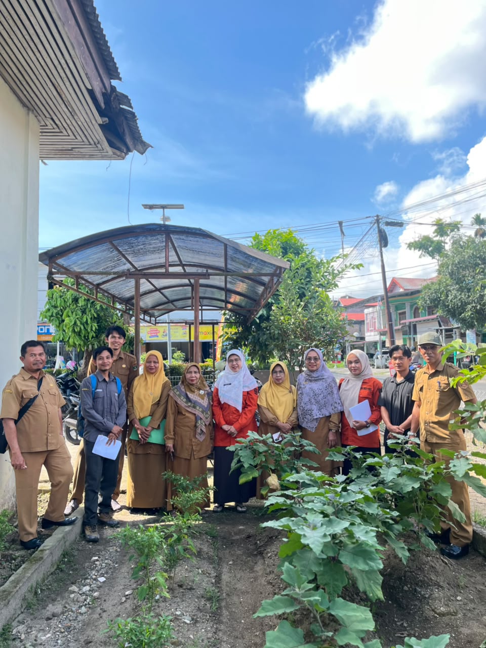 Gerakan Tanam Cabai di Pekarangan OPD